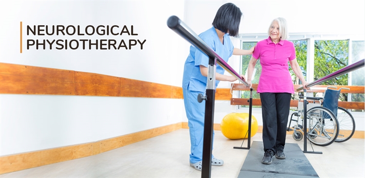 Profitable Specialized Multi-Disciplinary Rehab/Physio